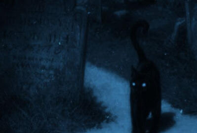 Notti con sogni d&#39;argento